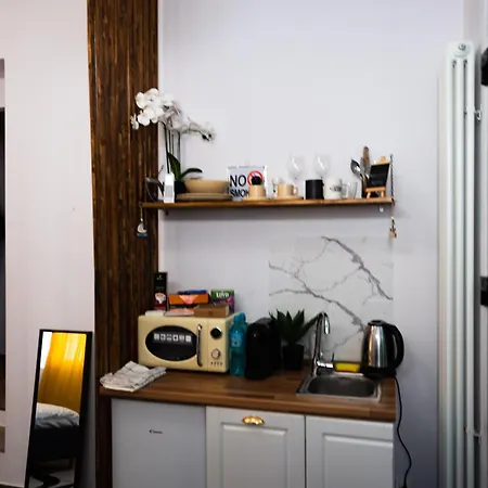 Central Zen Apartament Apartment